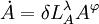 \dot{A}=\delta L_A^{\lambda}A^{\varphi}