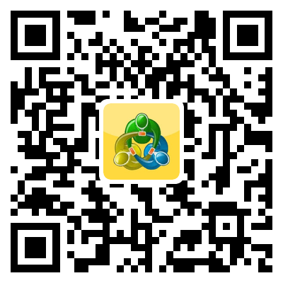 MT4每日操作策略